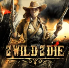 Slot 2 Wild 2 Die